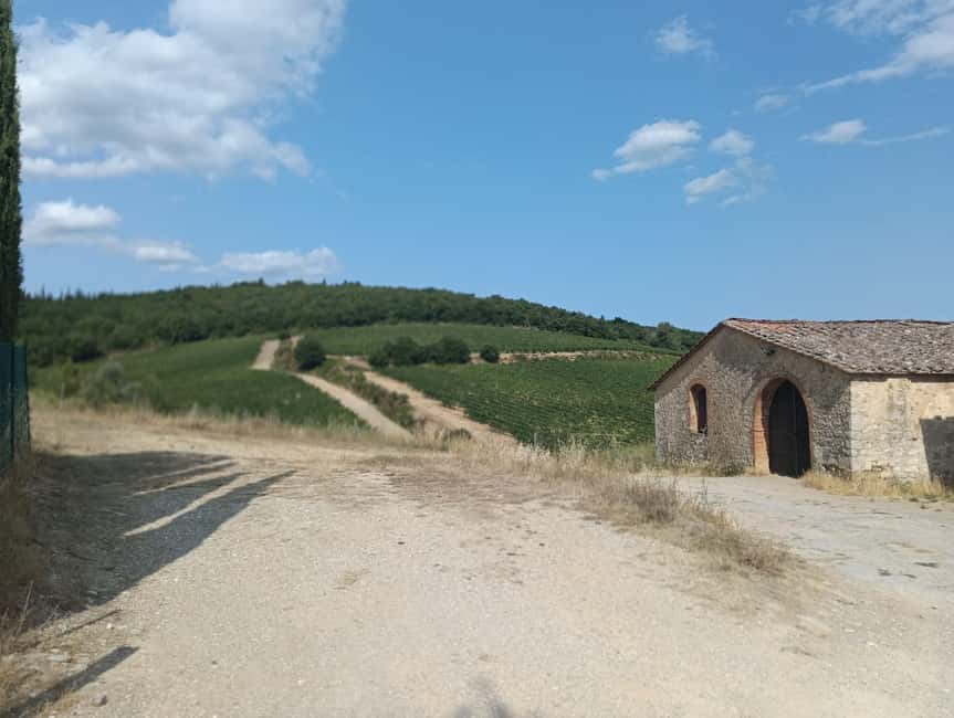 Siena: Small-group Cooking Class in a Chianti Farm - The main lesson: Tuscan pasta plus bruschetta or crostini