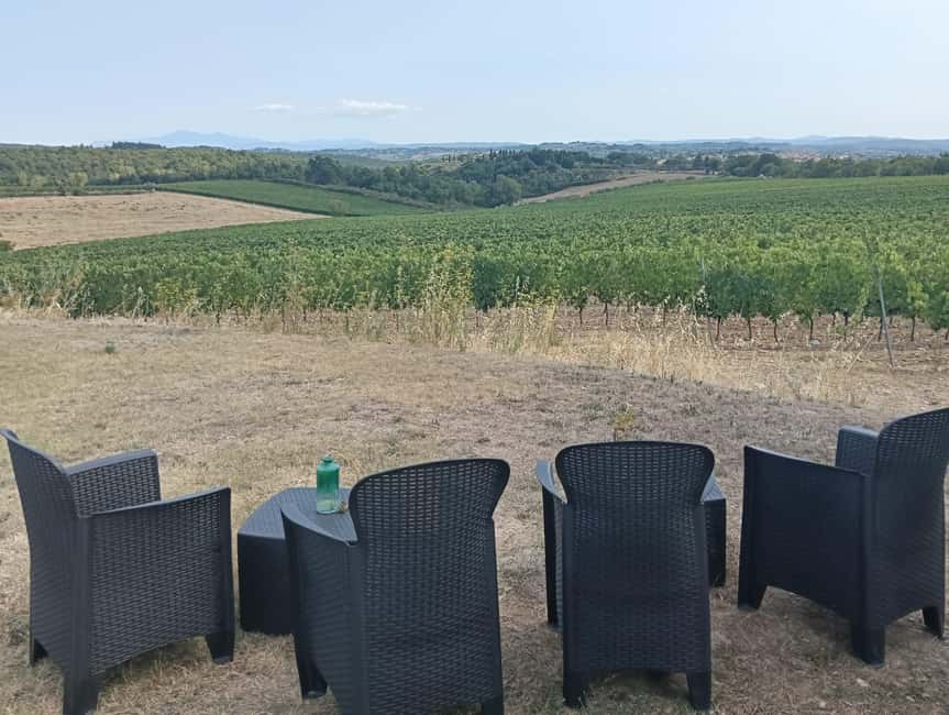 Siena: Small-group Cooking Class in a Chianti Farm - What you truly take home: recipes, technique, and kitchen confidence