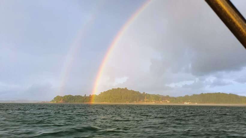 Singapore: Guided Boat Tour and Kelong Fish Farm Visit - Price and value: is $225 per person worth it?