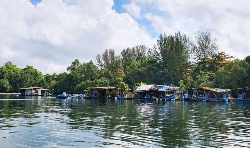 Singapore: Guided Boat Tour and Kelong Fish Farm Visit - Timing, weather, and what to bring for a comfy ride