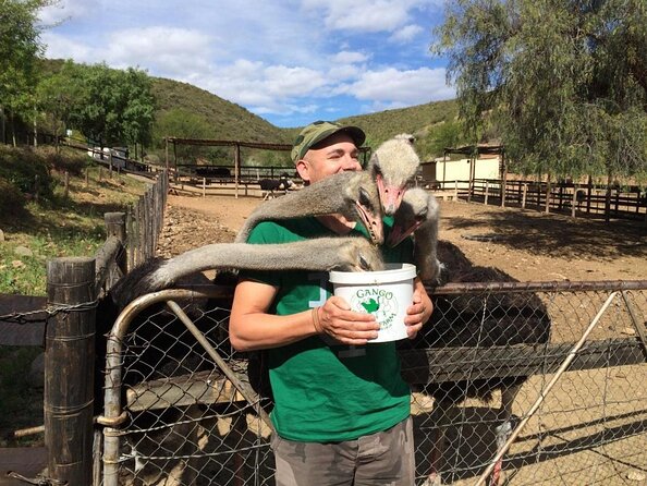 Skip the Line: Highgate Ostrich Farm Tour Ticket - Key highlights you should know before you go