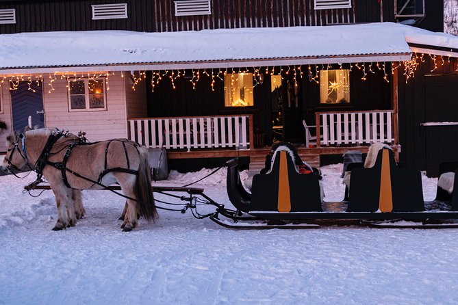 Sleigh Ride w/ snacks - Experience Arctic Farm Life - Key Highlights at a Glance