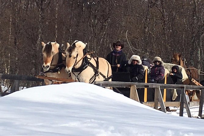 Sleigh Ride w/ snacks - Experience Arctic Farm Life - Alta to Omdal Gard: why the ride out of town matters