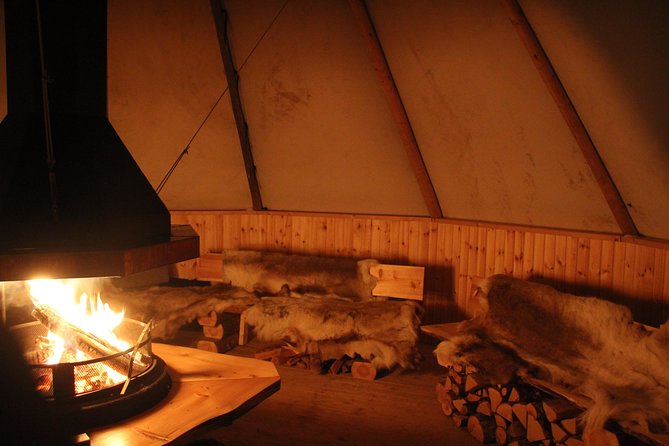 Sleigh Ride w/ snacks - Experience Arctic Farm Life - Say hallo to the farm animals: sheep, stables, and fjord horses up close