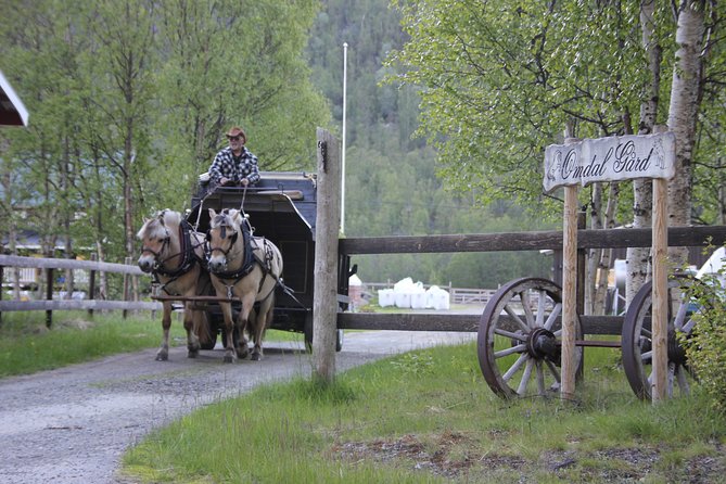 Sleigh Ride w/ snacks - Experience Arctic Farm Life - Private-group energy: why the pace feels personal