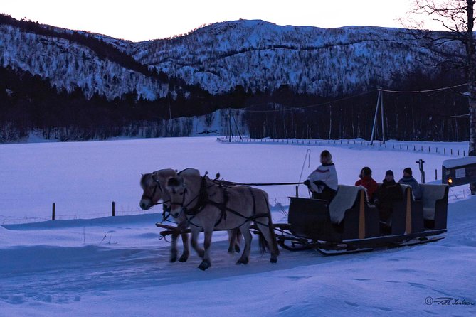 Sleigh Ride w/ snacks - Experience Arctic Farm Life - Aurora Borealis: how to think about the Northern Lights “chance”
