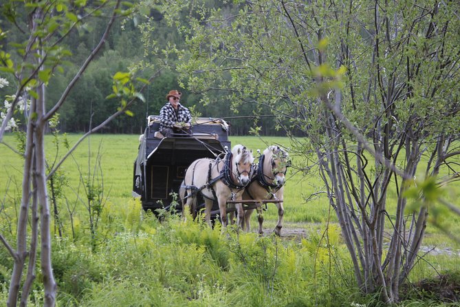 Sleigh Ride w/ snacks - Experience Arctic Farm Life - Timing and duration: fitting a 2.5-hour Arctic escape into real schedules