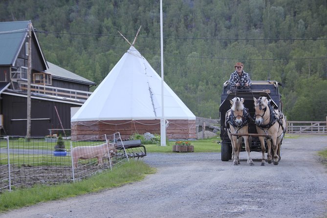 Sleigh Ride w/ snacks - Experience Arctic Farm Life - Price vs. what’s included: is $183.08 worth it?