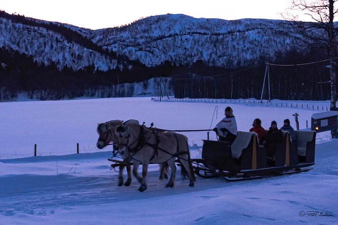 Sleigh Ride w/ Tapas Meal - Experience Arctic Farm Life - Pickup and timing: how to plan your afternoon