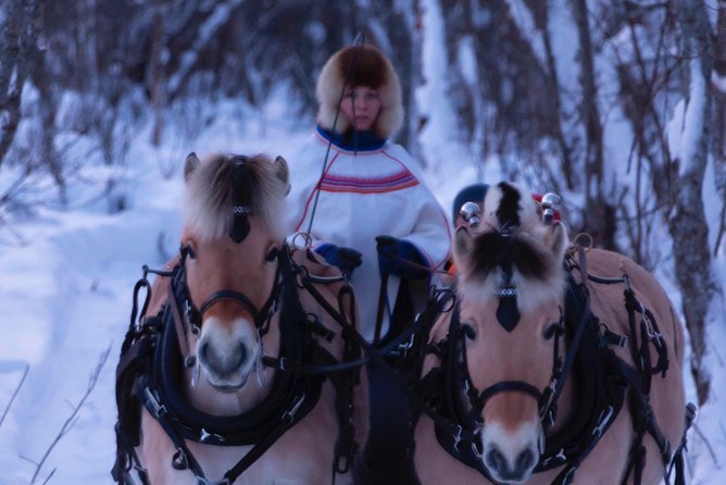 Sleigh Ride w/ Tapas Meal - Experience Arctic Farm Life - The horse-drawn ride: why fjord horses and blankets matter