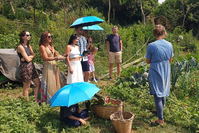 Slowlife Family Farm- Cook with us From Garden to Table Syracuse - River-side lunch, ancient trees, and swimming in the farm waters