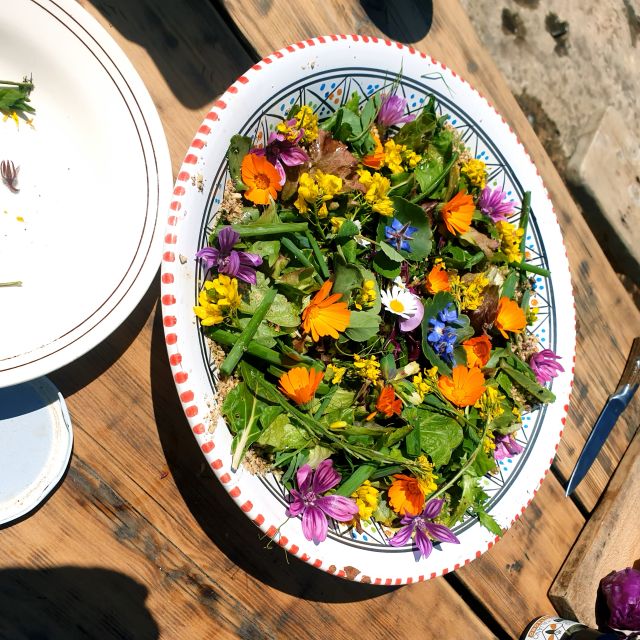 Slowlife Family Farm: From Garden to Table - What you actually eat and why it feels different