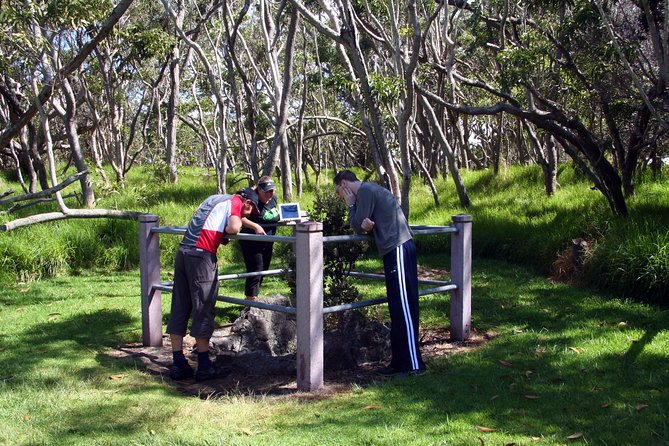 Small-Group Big Island Tour: Hawaii Volcanoes National Park and Kona Coffee Farm - Chain of Craters Road and Scenic Pass-Bys: Good Views, But Know What You’re Getting
