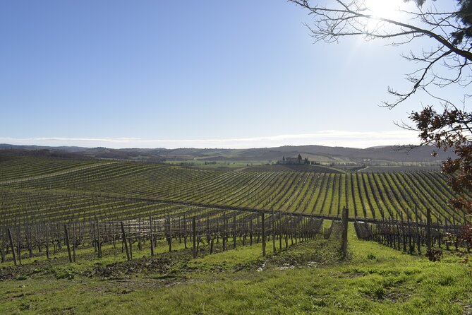 Small Group E-Bike Chianti Tour with farm lunch from Siena - Key Highlights You’ll Actually Feel