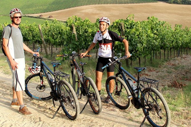 Small Group E-Bike Chianti Tour with farm lunch from Siena - The Farm Lunch Stop: Olive Oil Tasting, Wine Learning, and a Proper Sit-Down