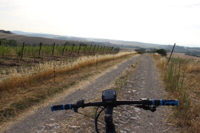 Small Group E-Bike Chianti Tour with farm lunch from Siena - Getting Your E-Bikes: Helmets, Setup, and Adjustable Effort