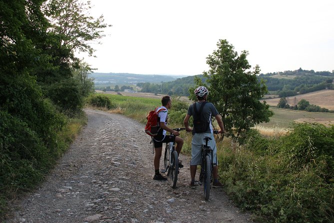 Small Group E-Bike Chianti Tour with farm lunch from Siena - Who This Tour Fits Best (And Who Might Feel Uncomfortable)