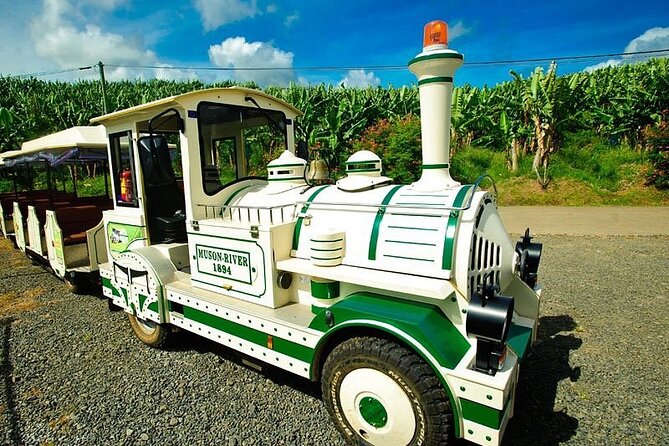 Small train tour of a banana farm in Martinique - The small train experience: 65 hectares, guided stops, and rain-friendly timing