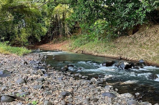 Small train tour of a banana farm in Martinique - Price and value: is $23.88 worth it?