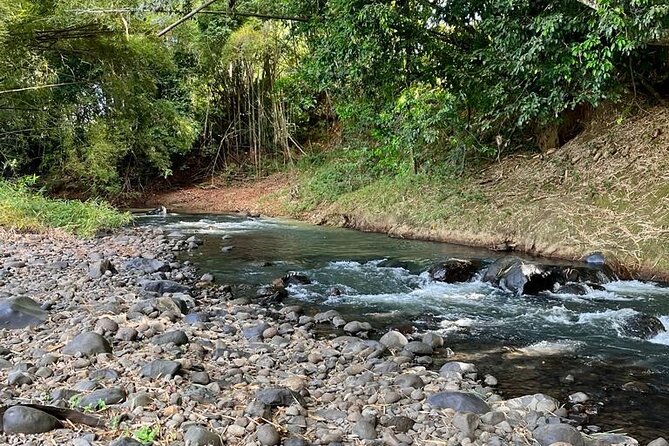 Small train tour of a banana farm in Martinique - Practical tips that make this tour easier (and more comfortable)