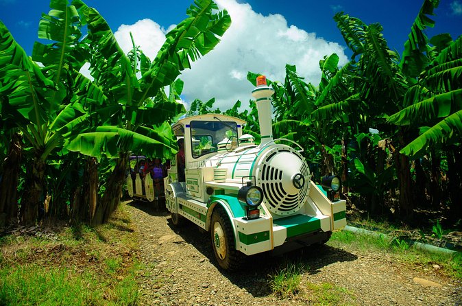 Small train tour of a banana farm in Martinique - Who should book this banana farm train tour, and who might skip it