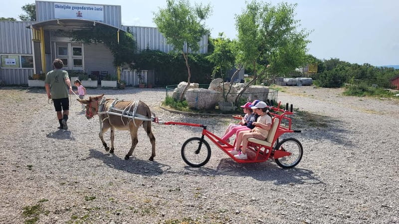 Šmrika (near Rijeka/Krk/Crikvenica) Donkey Farm Family Fun - Key things that make this visit work