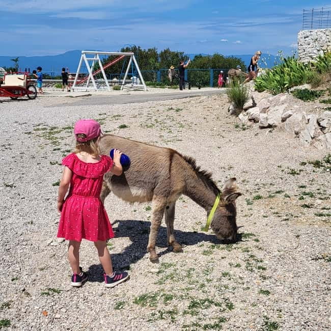 Šmrika (near Rijeka/Krk/Crikvenica) Donkey Farm Family Fun - Donkey rides for kids up to 35 kg: the part children remember