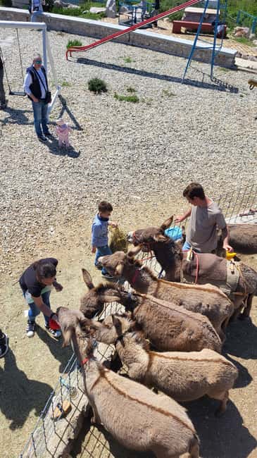 Šmrika (near Rijeka/Krk/Crikvenica) Donkey Farm Family Fun - Conservation talk you can actually understand