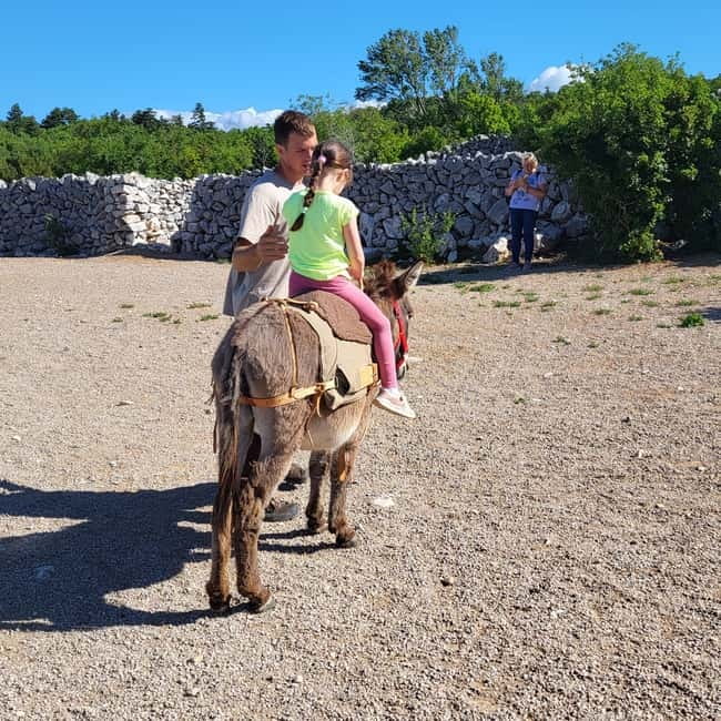 Šmrika (near Rijeka/Krk/Crikvenica) Donkey Farm Family Fun - Other indigenous animals you may meet along the way