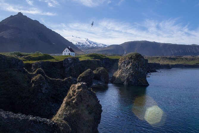 Snæfellsnes in Spanish with lunch on a farm Minibus - Snæfellsnes from Reykjavík: the Mini-Iceland day plan that makes sense