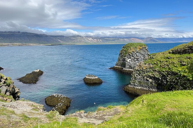 Snæfellsnes in Spanish with lunch on a farm Minibus - Arnarstapi–Hellnar basalt walk: cliffs, arches, and the myth-meets-rocks Bardur statue