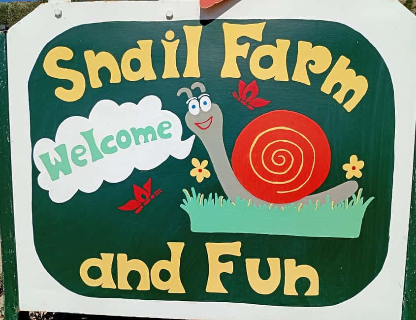 Snail and olive farm tour with table olives & homemade sweet - Key Highlights You’ll Care About