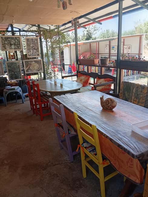 Snail and olive farm tour with table olives & homemade sweet - Where This Snail and Olive Farm Really Fits