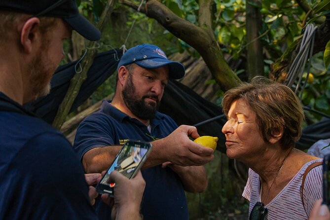 Sorrento Ape Tour, Lemon Garden, Mozzarella Show & Pizza Class - Key highlights you should not miss