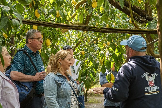 Sorrento Ape Tour, Lemon Garden, Mozzarella Show & Pizza Class - Mozzarella making show at Il Turuziello: watch it, then taste it