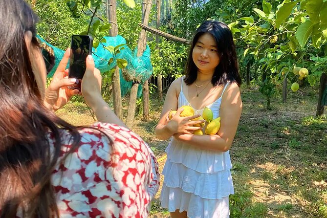 Sorrento: Authentic Lemon Experience at a Farm with Tastings - Making Lemonade the Hands-On Way