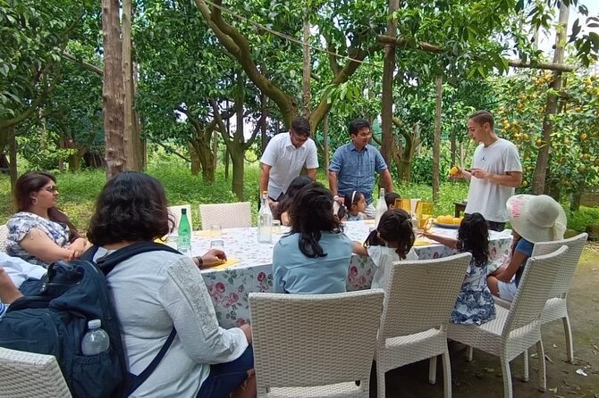 Sorrento: Authentic Lemon Experience at a Farm with Tastings - Marmalade and Limoncello Tastings: From Fruit to Flavor