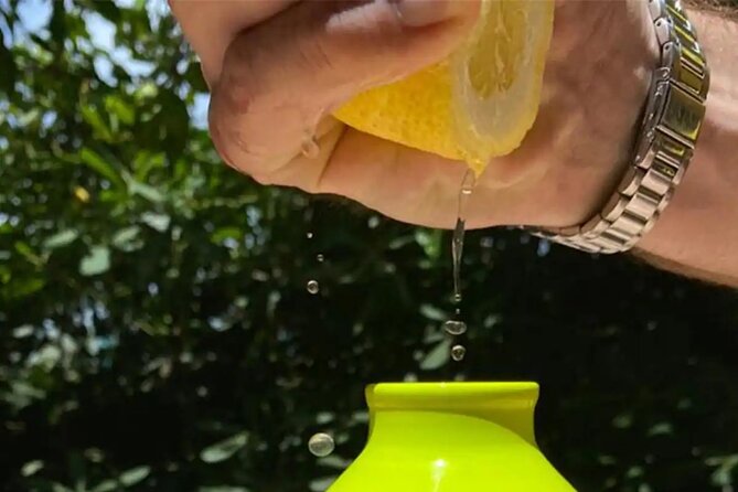 Sorrento: Authentic Lemon Experience at a Farm with Tastings - Weather and Timing: Plan for a Real Farm Day