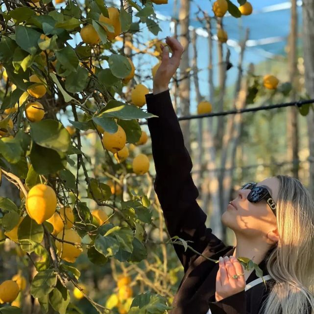 Sorrento: Authentic Lemon Experience in a Farm with Tastings - The Take-Home Lemons: A Souvenir That Actually Makes Sense