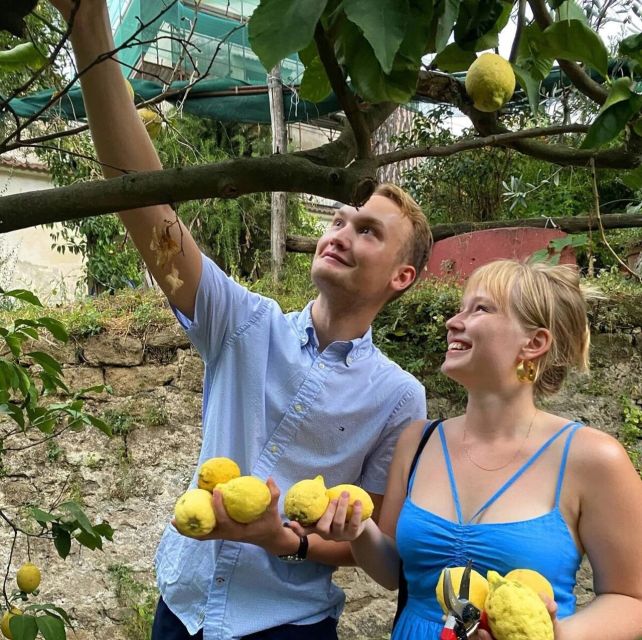 Sorrento: Authentic Lemon Experience in a Farm with Tastings - Who Should Book This Lemon Experience (and Who Might Skip It)