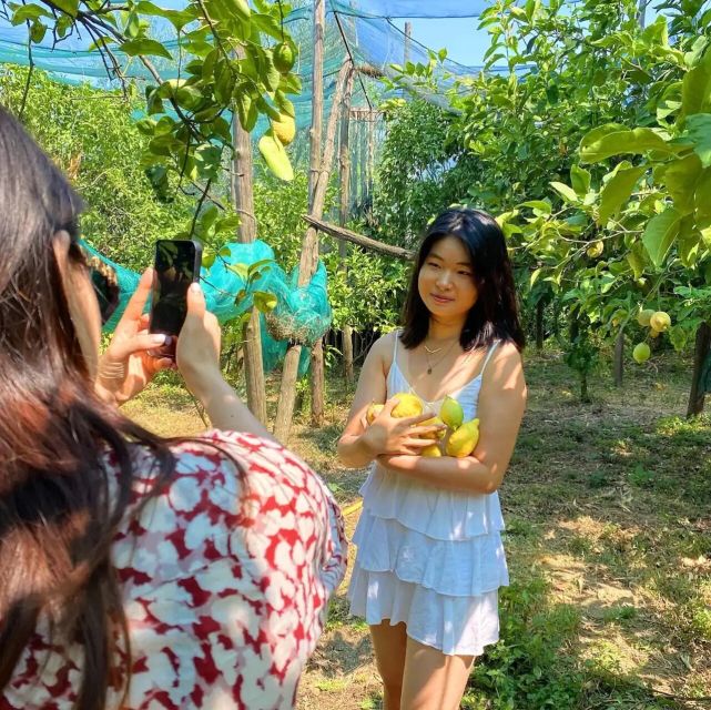 Sorrento: Authentic Lemon Experience in a Farm with Tastings - Where You Meet and How the Timing Works in 1.5 Hours