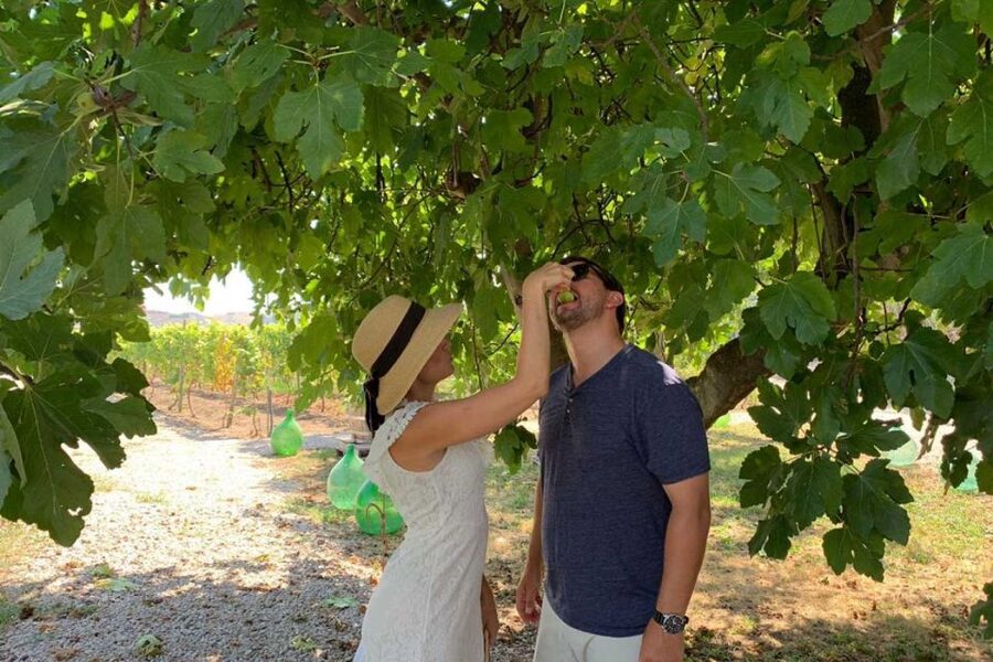 Sorrento: Family Farm Experience with Lunch - Key highlights worth planning around