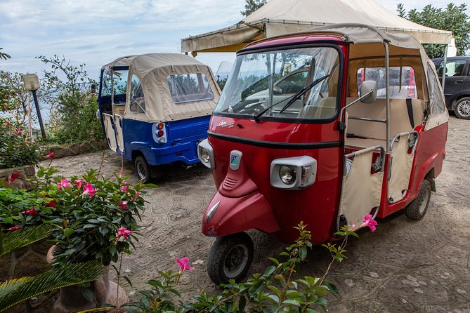 Sorrento Farm by Tuk Tuk: Cheese, Limoncello & Hands-On Pizza - Tuk tuk rides and small-group pacing: why the format works