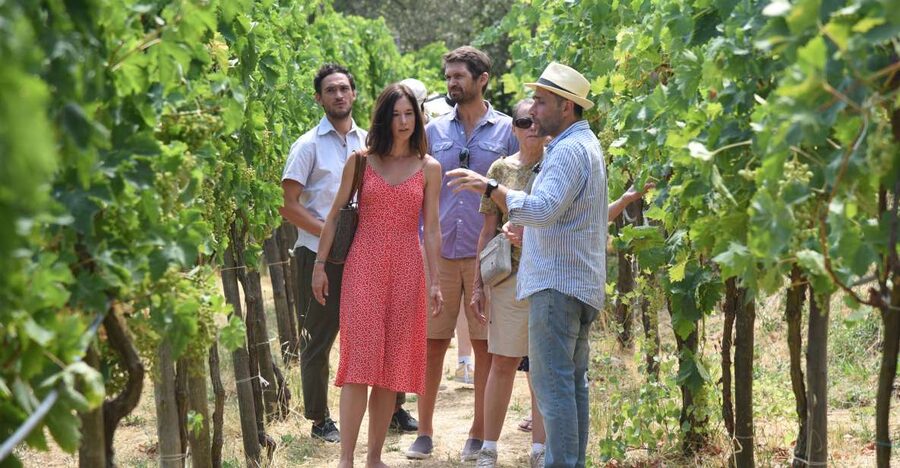 Sorrento: Farm Tour with Cheese Tasting & Pizza Making Class - The farm walk: animals, crops, vineyard, citrus groves, and oil area