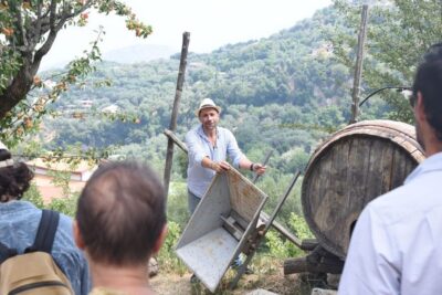 Sorrento: Farm Tour with Cheese Tasting & Pizza Making Class - Getting to the farm: pickup, drop-off, and the 11:30 meeting spot