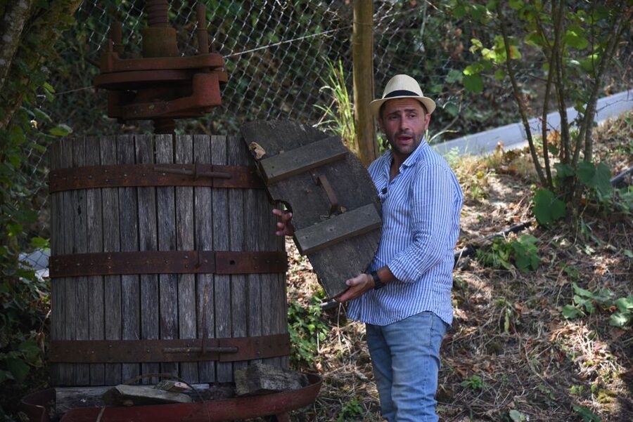 Sorrento: Farm Tour with Cheese Tasting & Pizza Making Class - Farm drinks: wine, limoncello, and the take-home factor