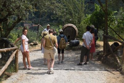 Sorrento Half-Day Farm Experience: Pizza, Cheese Making and Wine - A D.O.P.-certified farm visit with sustainability you can see
