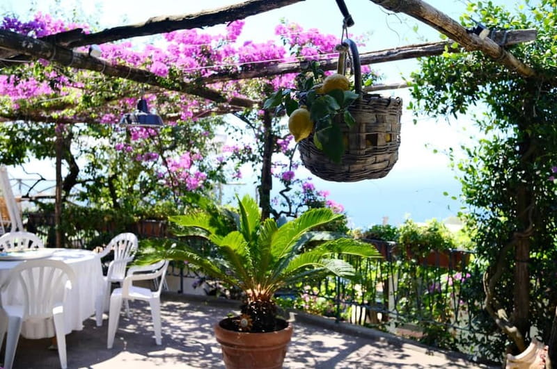 Sorrento: Marì Cooking Class in a Family Farm w/ Coast View - Key highlights you’ll feel the moment you arrive