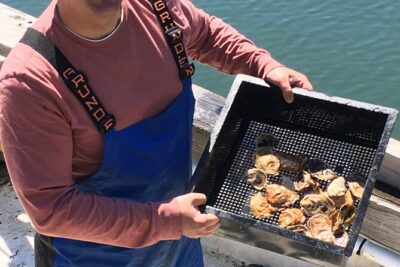 Southold Bay Oyster Farm Tour - Hatchery Spawning to Grow-Out: The Oyster Life Cycle, Step by Step