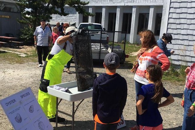 Southold Bay Oyster Farm Tour - Southold Shindig Oysters and North Fork Wine Pairing